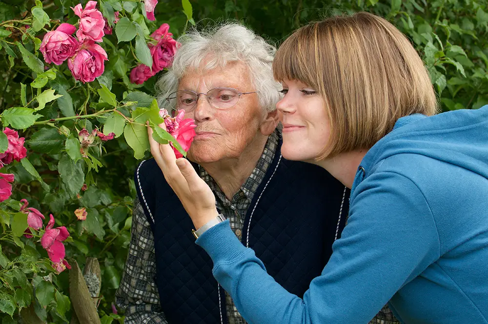 frau pflegt oma spaziergang mit der oma