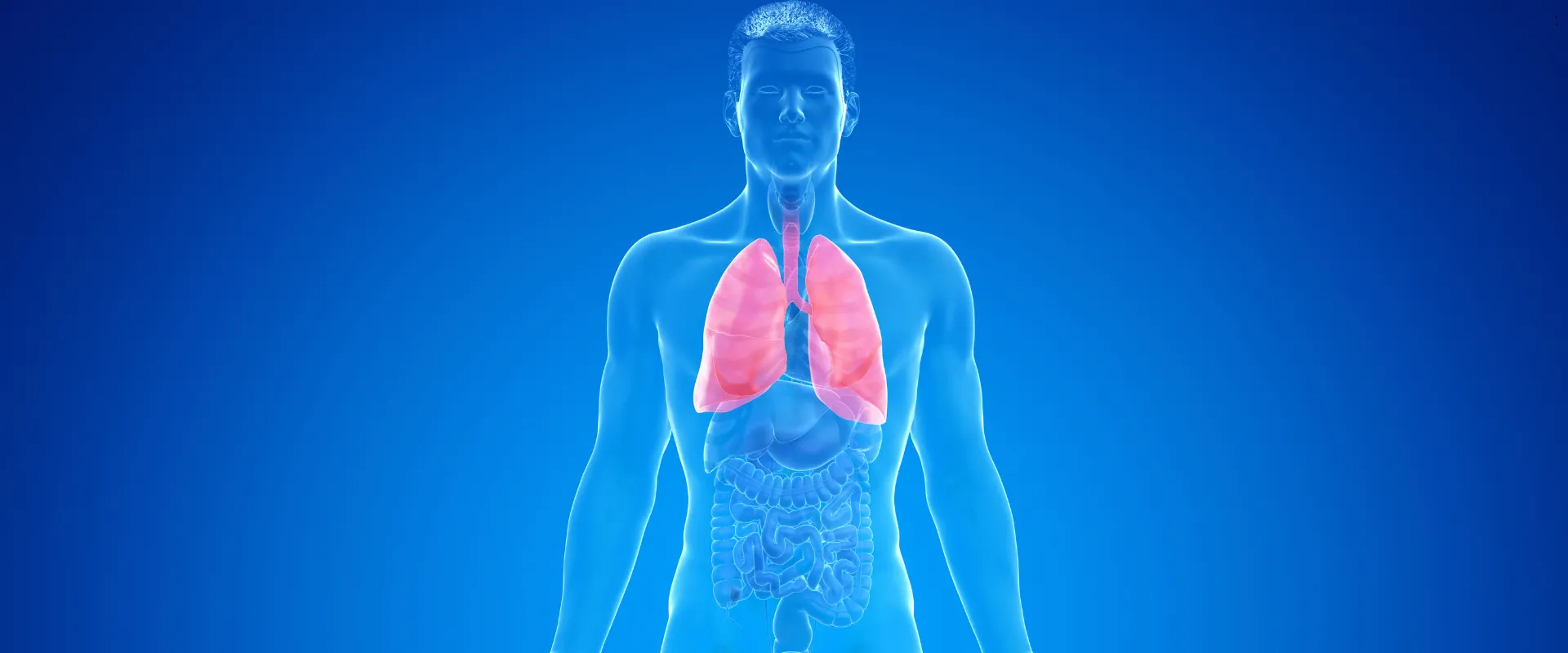 copd pflegegrad haushaltshilfe