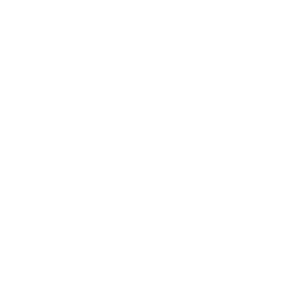 Huishoudelijke hulp,Dagelijkse begeleiding,AGFH,Agency for domestic help